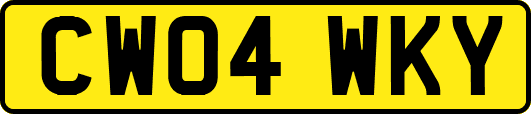CW04WKY