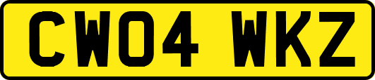 CW04WKZ