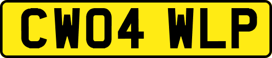 CW04WLP