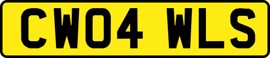 CW04WLS