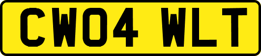 CW04WLT