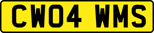 CW04WMS