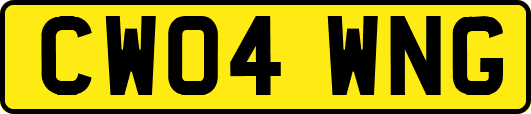 CW04WNG