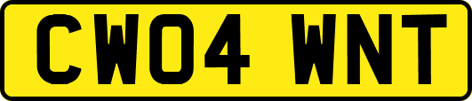 CW04WNT