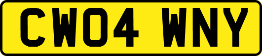 CW04WNY