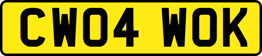 CW04WOK