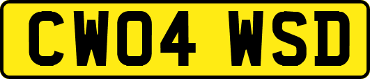 CW04WSD