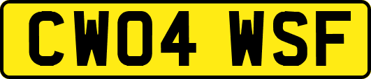 CW04WSF