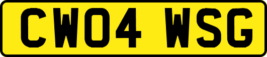 CW04WSG