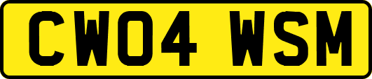 CW04WSM