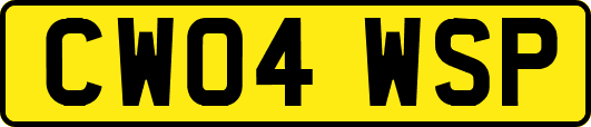 CW04WSP