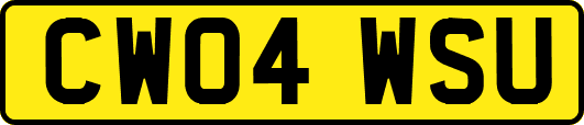 CW04WSU
