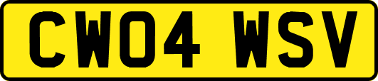 CW04WSV