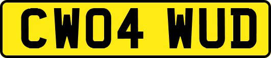 CW04WUD