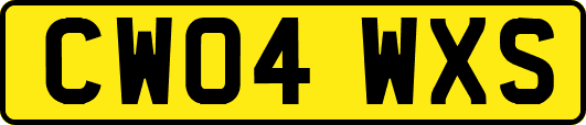 CW04WXS