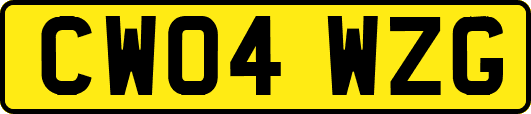 CW04WZG