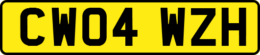 CW04WZH