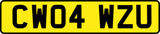 CW04WZU