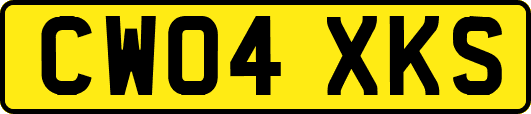 CW04XKS