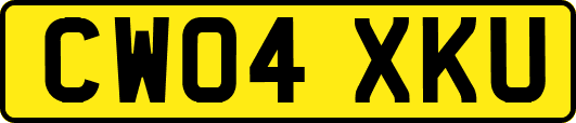 CW04XKU
