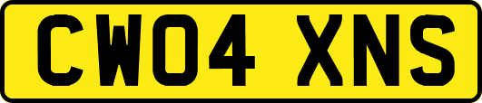 CW04XNS