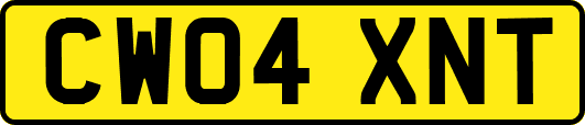CW04XNT