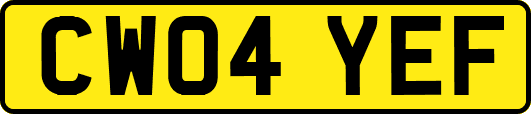 CW04YEF