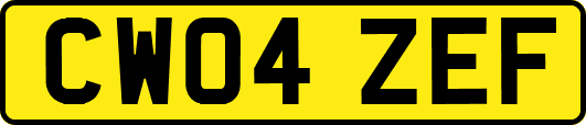 CW04ZEF