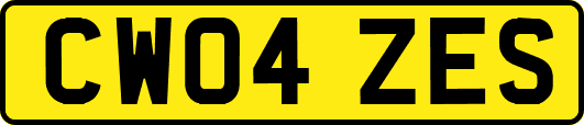 CW04ZES