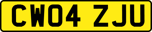 CW04ZJU