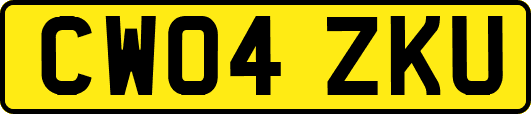 CW04ZKU