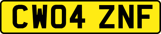 CW04ZNF