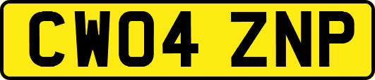 CW04ZNP