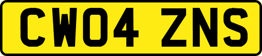 CW04ZNS