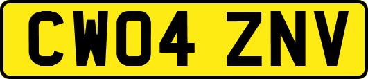 CW04ZNV
