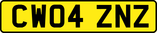 CW04ZNZ
