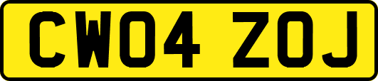 CW04ZOJ