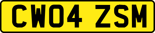 CW04ZSM