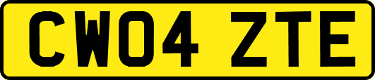 CW04ZTE