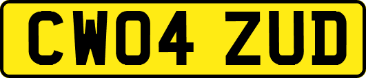 CW04ZUD
