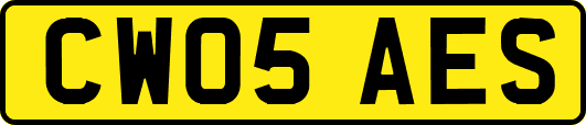 CW05AES
