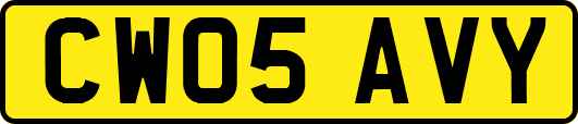 CW05AVY