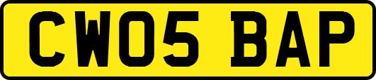 CW05BAP