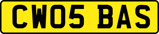CW05BAS
