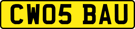 CW05BAU
