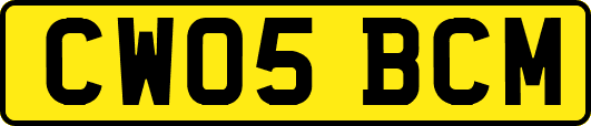 CW05BCM