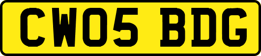 CW05BDG