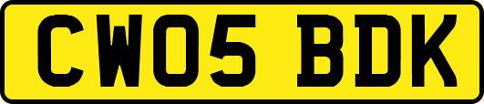 CW05BDK