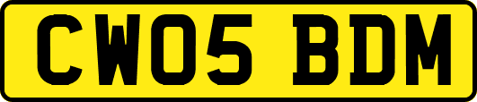 CW05BDM