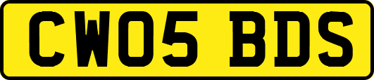 CW05BDS